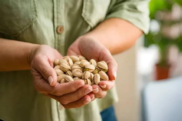 چگونه پسته را در رژیم غذایی خود بگنجانید؟