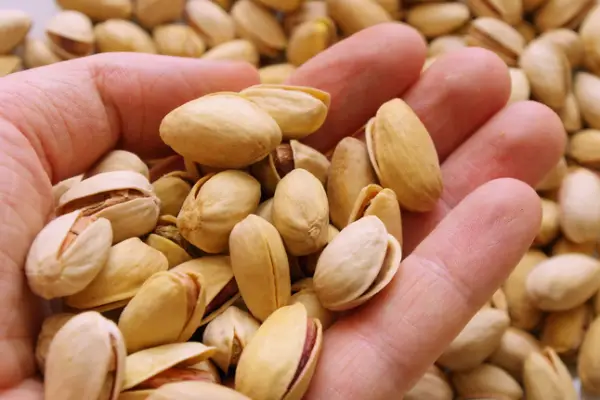 بهترین روش نگهداری پسته